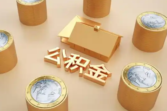 南阳退休公积金代办提取额度是多少？